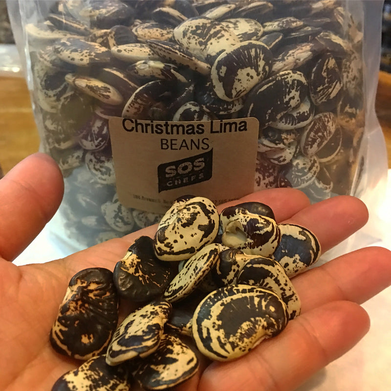 Fresh Christmas Lima Beans