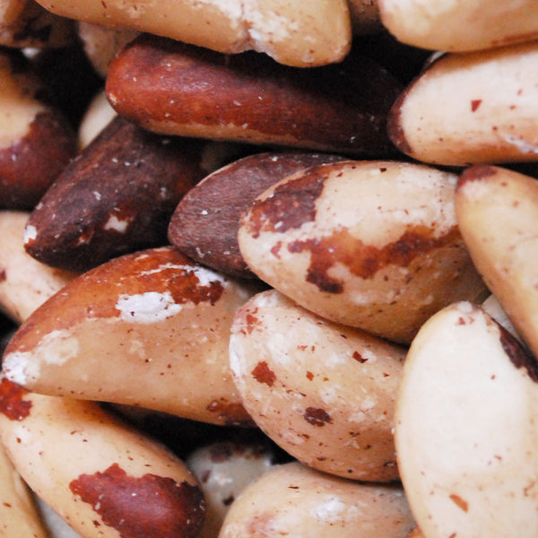 Brazil Nuts