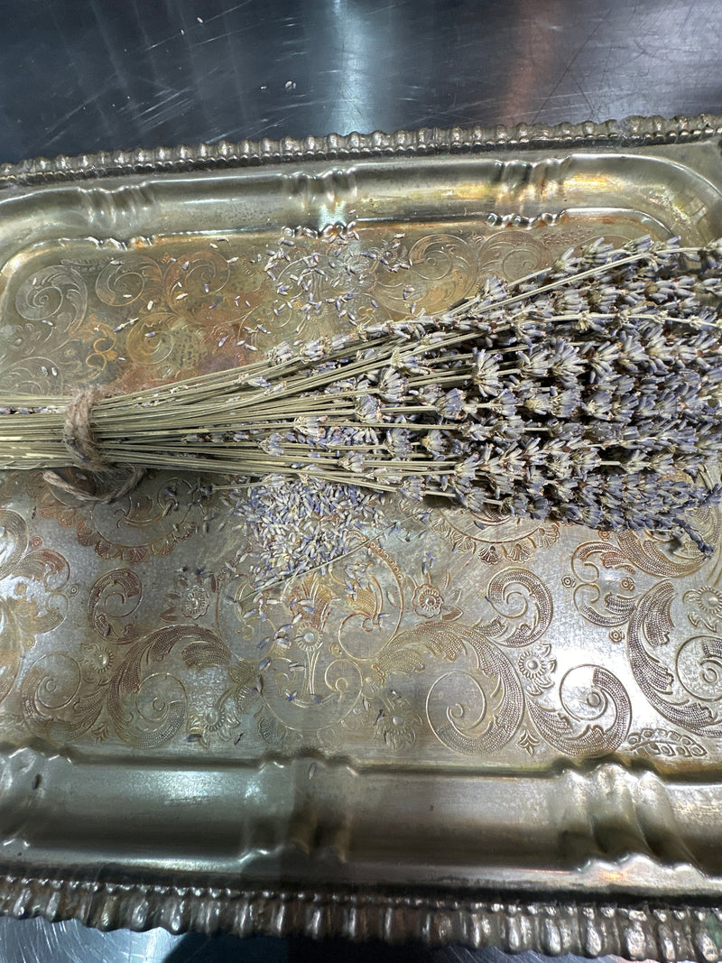 Lavender Bunches on Stem